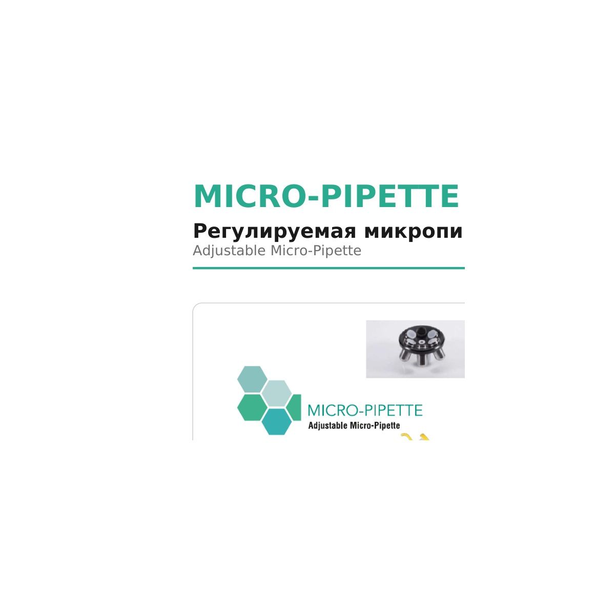 MICRO-PIPETTE Microsystem