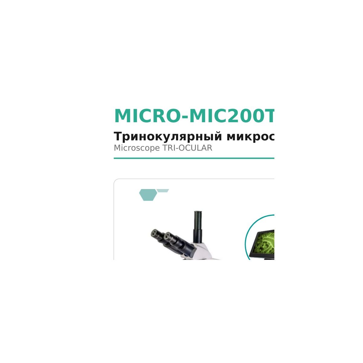 MICRO-MIC200T Microsystem