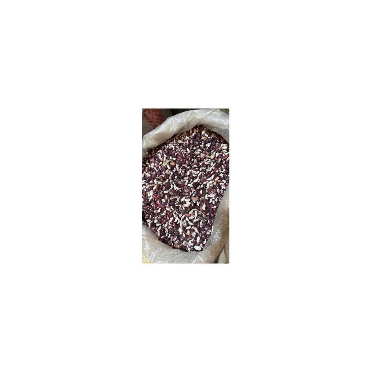 Фасоль пёстрая — оптом Food Wholesale