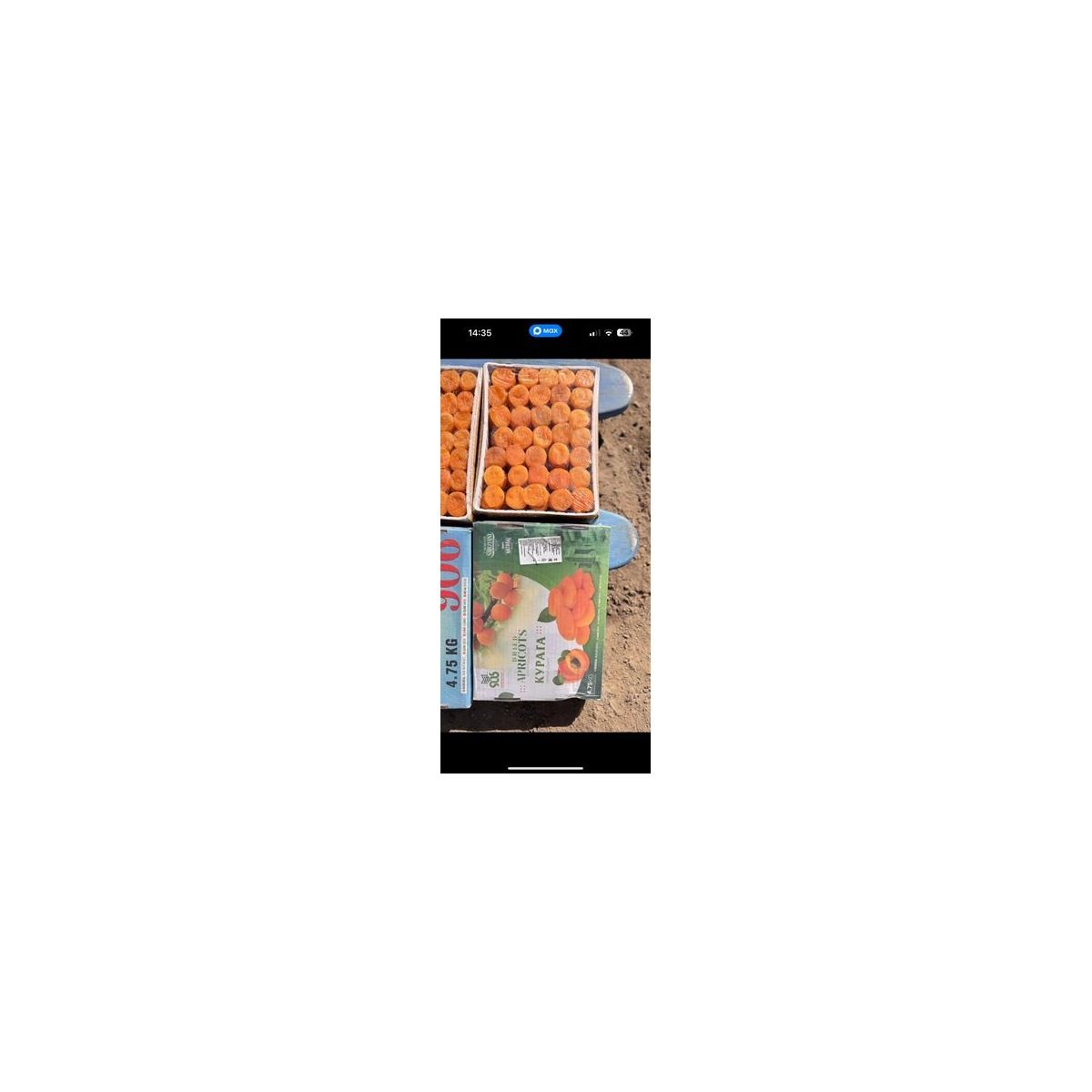 Курага Супер Джамбо, 4.75 кг — оптом Food Wholesale