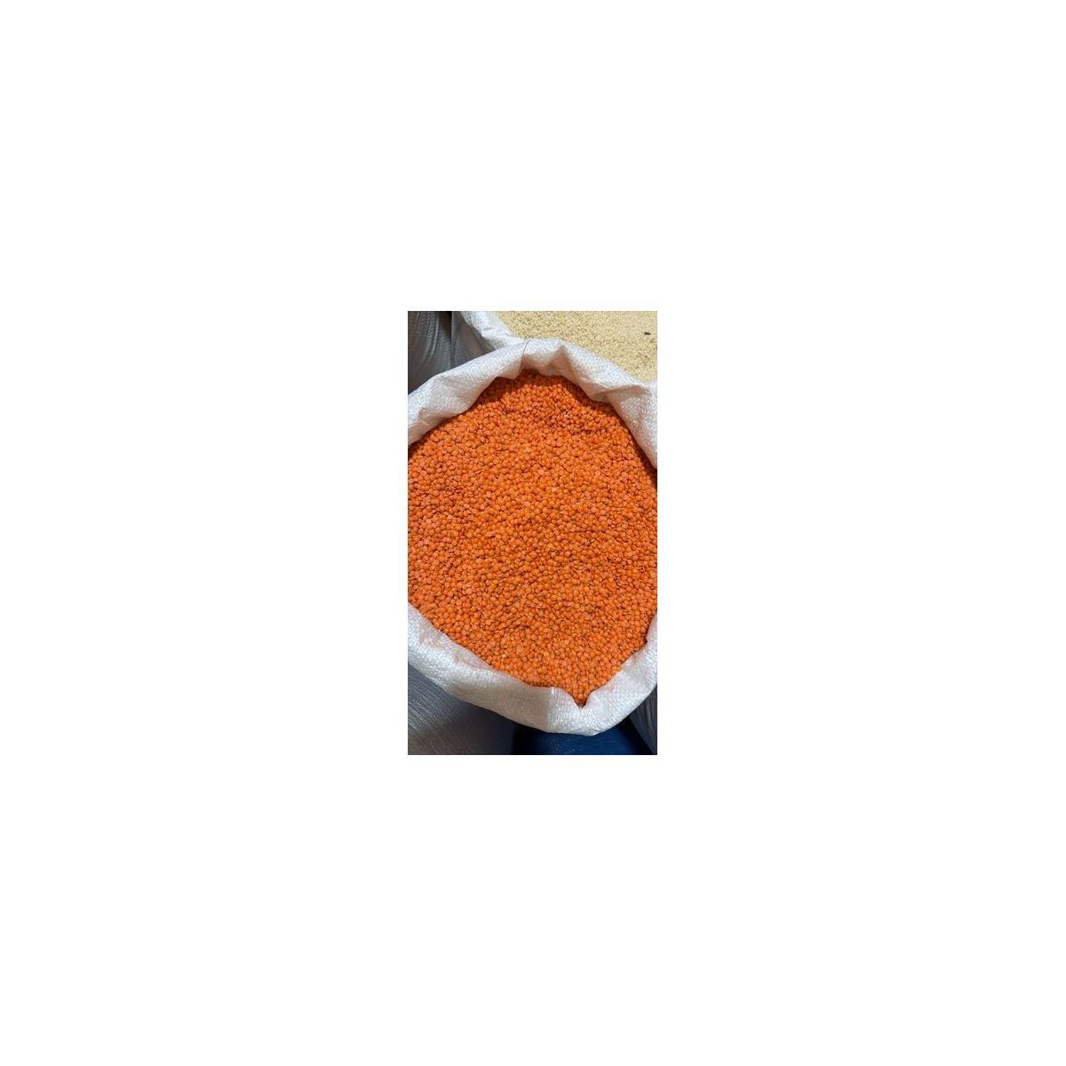 Чечевица красная, Красная колотая — оптом Food Wholesale
