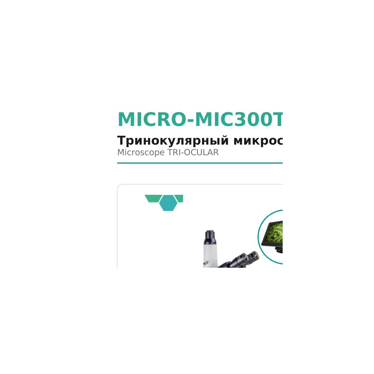MICRO-MIC300T Microsystem
